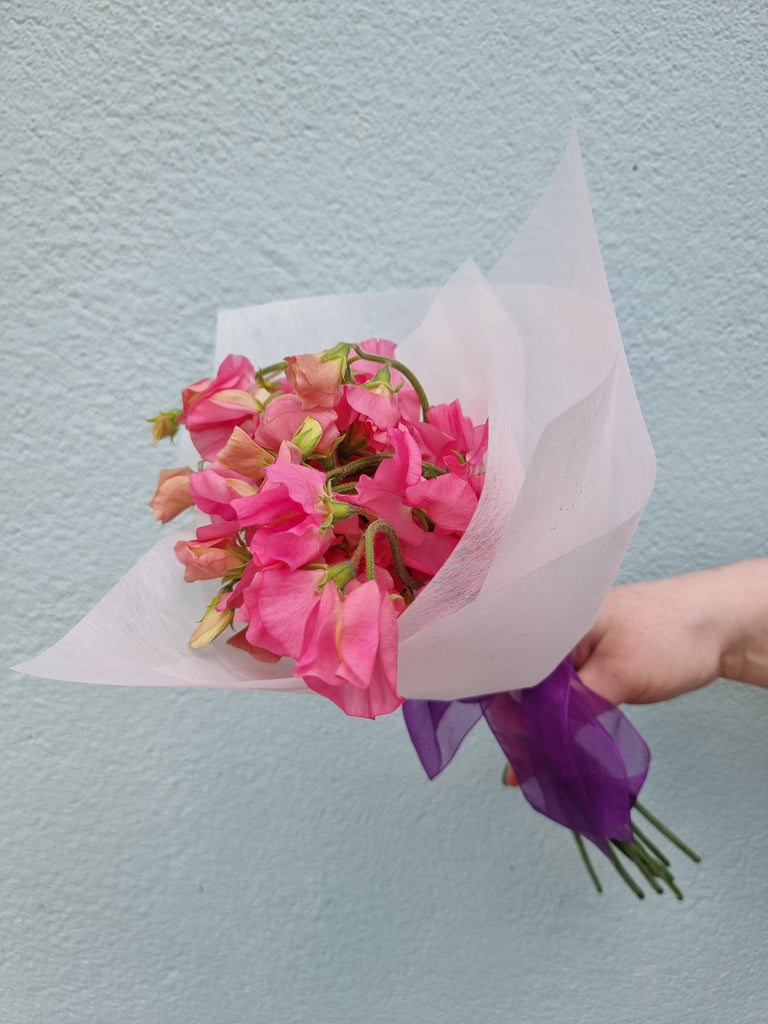 Beautiful Sweetpea bunches available for a short season, simply wrapped, sent with a gift card containing your own personal message, and wet wrapped on the stems’ ends to ensure freshness.
